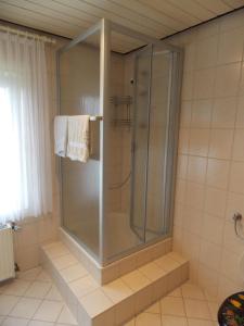 a shower with a glass door in a bathroom at Ferienwohnung Inge Blum in Müllenbach