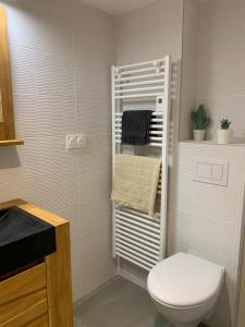 a bathroom with a toilet and a towel rack at La Vallée d'émeraude in Plouër-sur-Rance