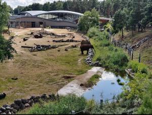 Príroda v okolí apartmánu