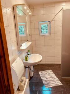 a bathroom with a sink and a toilet and a mirror at Komfort-Ferienhaus Sonnental in Extertal