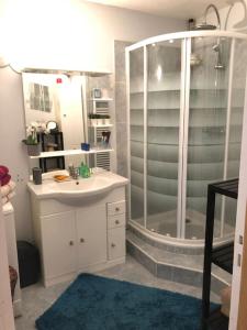 a bathroom with a shower and a sink at Appartement lumineux BAYONNE in Bayonne