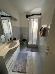 ein Bad mit einem Waschbecken, einer Dusche und einem WC in der Unterkunft Schöne Wohnung in der Via Borgo in Ascona