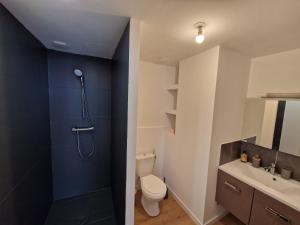 een badkamer met een douche, een toilet en een wastafel bij Hyper centre T2 Haut standing in Maubeuge