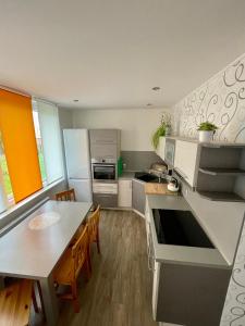 Kuchyň nebo kuchyňský kout v ubytování Apartmán VS Františkovy Lázně + 7 fotografií
