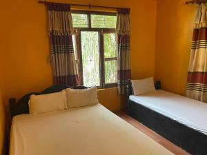 two beds in a room with a window at Tara guesthouse - Sauraha,Chitwan in Sauraha