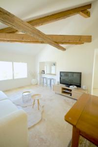 ein Wohnzimmer mit einem Sofa und einem TV in der Unterkunft Appartement - Loft Le Cosy in Hyères