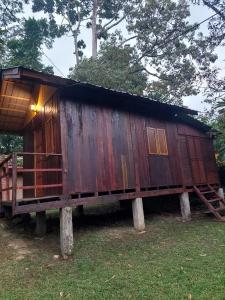 a small wooden house on logs in the grass at Jungle Zen Janda Baik Campsite in Kampung Janda Baik