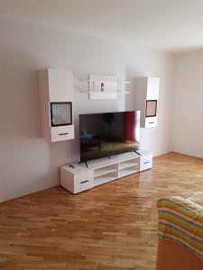 sala de estar con TV de pantalla plana grande en Villa Krvavac, en Kula Norinska