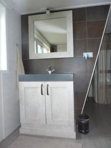 uma casa de banho com um lavatório e um espelho em B&B It Lytshûs em Earnewâld