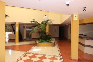 Fotografie z fotogalerie ubytování Estupendo apartamento v destinaci Puerto de Santiago + 8 fotografií