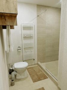 a bathroom with a toilet and a shower at Flat in Petrosani in Petroşani