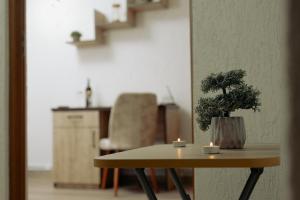 a table with two candles and a potted plant on it at Flat in Petrosani in Petroşani