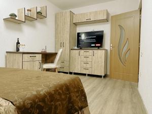 a bedroom with a bed and a flat screen tv at Studio 63 in Petroşani