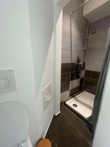 Schaerbeek Room 2 في بروكسل: حمام صغير مع دش ومرحاض