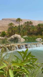 a pool of water with trees in the background at Wadi Bani Khalid - Al Joud Green Hostel in Zilaft
