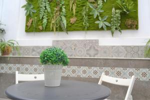 una mesa con una maceta encima en SunShine Barroso Centro en Córdoba