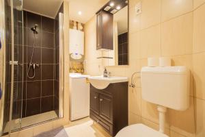 ein Bad mit einem WC, einem Waschbecken und einer Dusche in der Unterkunft Two Bedroom Apartment at Basilica in Budapest