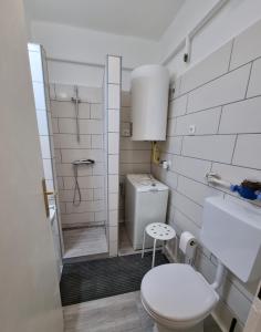 a small bathroom with a toilet and a shower at Barcika Apartman in Kazincbarcika