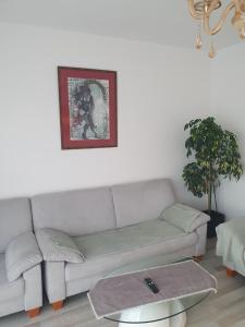 a living room with a couch and a table at Green apartament in Şelimbăr