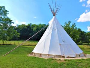 a white teepee tent in a grass field at Le Couche t'Art in Pisseloup