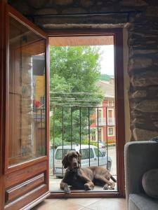 un perro tirado dentro de una puerta de cristal en Apartament Cal Barracaire, en Vilallonga de Ter