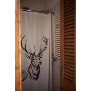 Fotografie z fotogalerie ubytování casa vegana v destinaci Montevideo