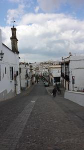 a cat walking down a street in a town at Hostal Cuesta de Belén in Arcos de la Frontera