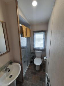 a small bathroom with a toilet and a sink at 24 Chestnut Grove Caravan in Humberston
