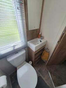a bathroom with a white toilet and a sink at 24 Chestnut Grove Caravan in Humberston