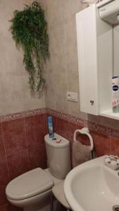 ein Bad mit einem WC und einem Waschbecken in der Unterkunft PISO EN GALICIA RIAS BAIXAS CON PISCINA Y GARAJE Urbanización privada en Rianxo in Rianjo