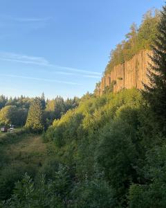 una colina con árboles y arbustos y una montaña en Ferienwohnung im Chalet Scheibenberg, en Scheibenberg