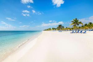 una playa con palmeras y sillas y el océano en Viva Fortuna Beach by Wyndham, A Trademark All Inclusive, en Freeport