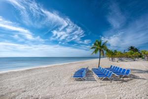 - deux chaises et un palmier sur la plage dans l'établissement Viva Fortuna Beach by Wyndham, A Trademark All Inclusive, à Freeport