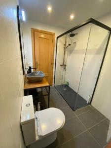 a bathroom with a shower and a toilet and a sink at Duplex Kasares en Sesué No VU HUESCA24037 in Sesué +6 photos