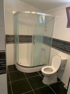 a bathroom with a toilet and a glass shower at Çamlıkta deniz manzaralı 5+1 dubleks in Didim