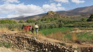 Un paisaje natural cerca de la casa de huéspedes