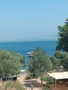 a boat on the water with trees and a beach at Eses Camping in Mugla