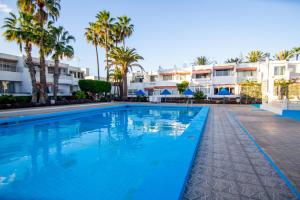 Πισίνα στο ή κοντά στο The Great Palm Apartment