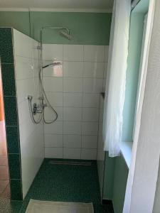 a bathroom with a shower with green and white tiles at Ferienwohnung Familie Eder in Schönberg +13 photos