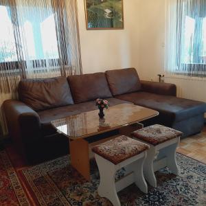 - un salon avec un canapé et une table basse dans l'établissement Počitniška hiška v Dolini miru, à Bogojina