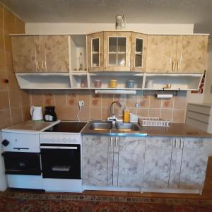 - une cuisine avec un évier et un comptoir dans l'établissement Počitniška hiška v Dolini miru, à Bogojina