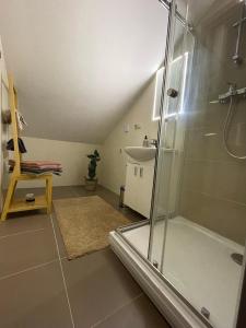 a bathroom with a shower and a sink at U plechového Jánošíka in Terchová