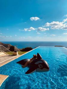 uma mulher numa piscina com um golfinho na água em Matteo Villa Limassol Cyprus em Limassol
