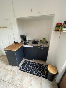 uma pequena cozinha com um lavatório e um fogão em Logement en rez de jardin em Guérard