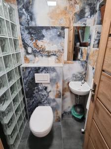 bagno con servizi igienici e lavandino di family cottage a Senica