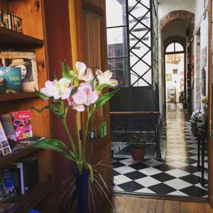 Fotografie z fotogalerie ubytování casa vegana v destinaci Montevideo