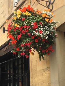 a hanging basket of flowers on the side of a building at Ocean Breeze 5 minutes walk to the beach - Free Parking in Lancing
