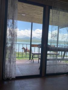 a window with a view of a horse in a field at Nirok in Sevan