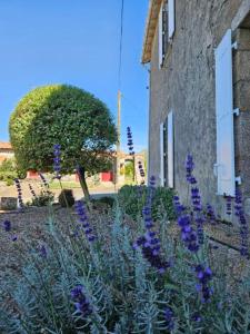 un jardin avec des fleurs violettes en face d'un bâtiment dans l'établissement La Commanderie Grand Gite 10kms " Puy duFou", à Mauléon