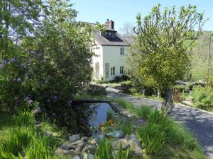 a house with a pond in front of a garden at Hafannedd in Corwen